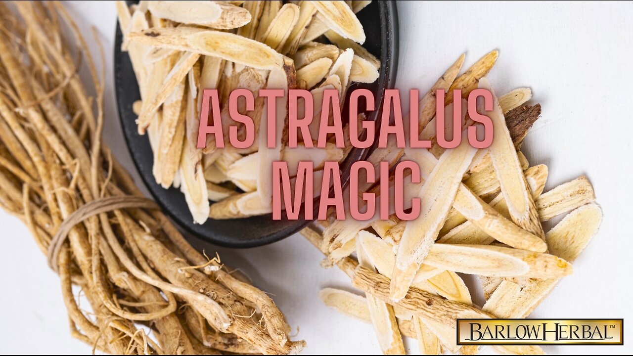 The Health Benefits of Astragalus