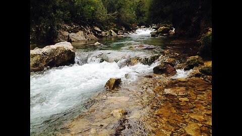 35 minutes by the rivers edge