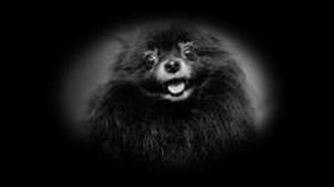 One Of So Many Beautiful Creations From Above