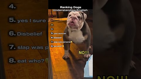 Ranking Dogs Understanding English