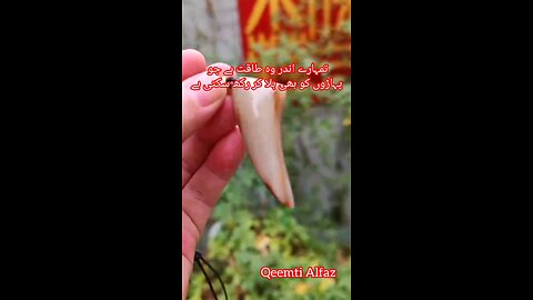Dunya Mein Sab Khuch Chhin Sakta Hai Lekin Tumhara Khud Per Yaqeen