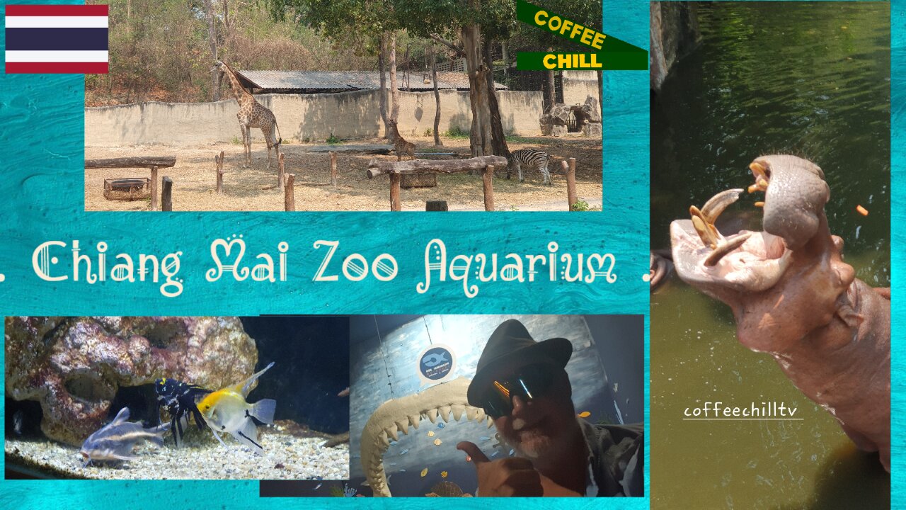 Chiang Mai Zoo and Aquarium - Walking with the Animals in Northern Thailand เชียงใหม่ #chiangmai TV
