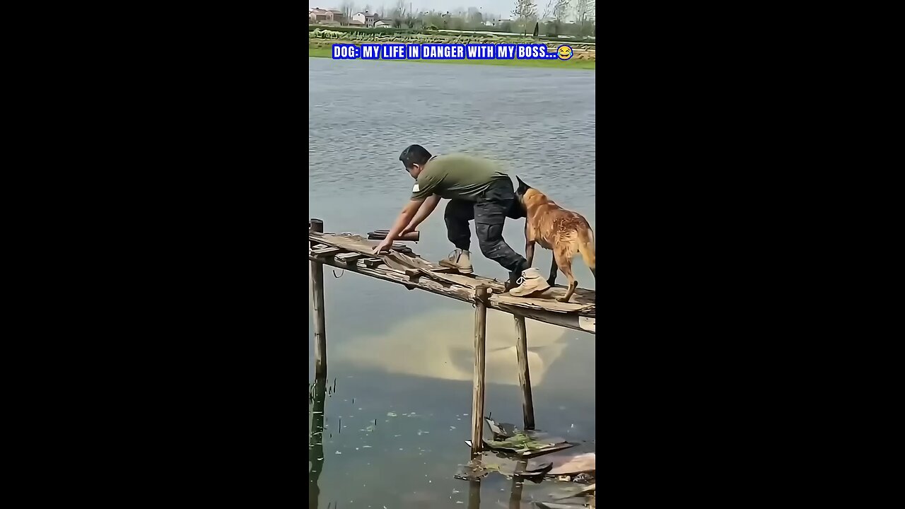 Try not to laugh