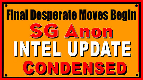 SG Anon Excellent Report 3.14.25 - Final Desperate Moves Begin