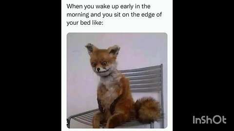 When you wake up early in the morning and you sit on the edge of your bed like:
