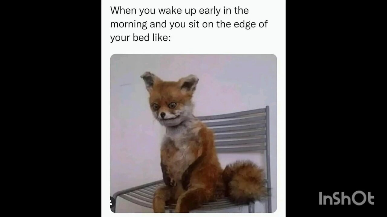 When you wake up early in the morning and you sit on the edge of your bed like: