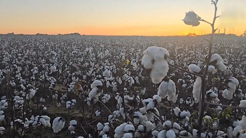 Wait a Cotton Pickin' Minute... Florida to Colorado Travels