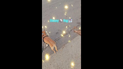 Had to pay attention