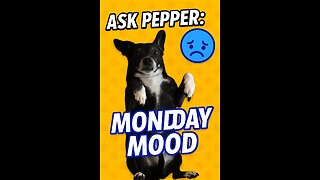 Ask Pepper: #Monday Mood