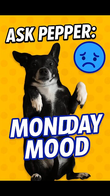 Ask Pepper: #Monday Mood