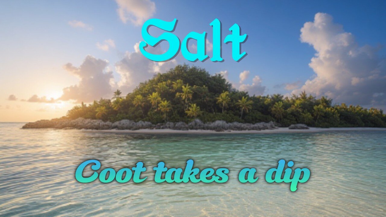 Coot plays Salt
