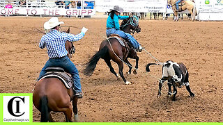 12.5 Team Roping 1st Go Part 1 - 2024 Spicer Gripp Memorial Roping (Highlights)