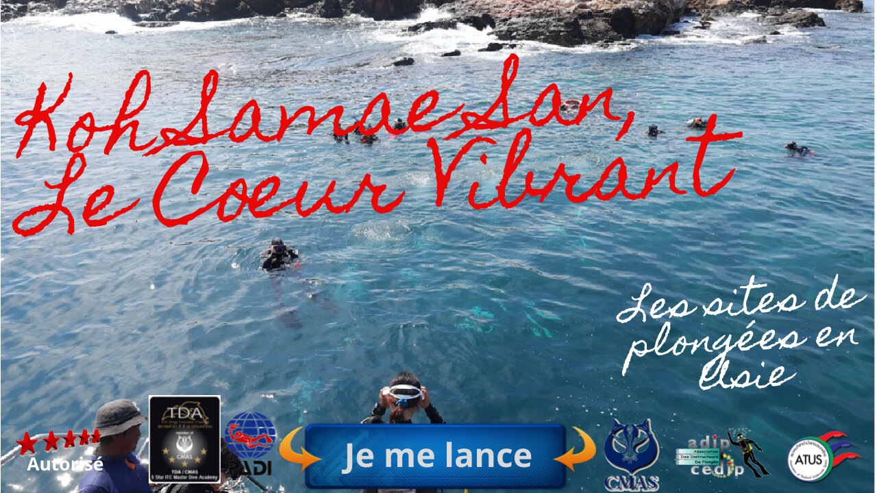 🌸 Plongée à Koh Samae San, Le Cœur Vibrant du Parc Marin