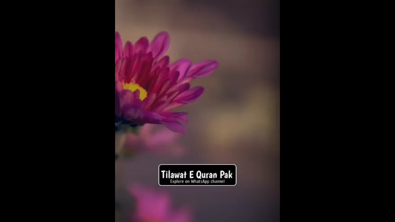 Beautiful recitation of Quran