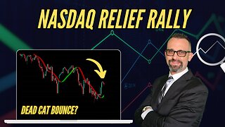$NASDAQ Dead Cat Bounce? Live Trading 11/20/2025