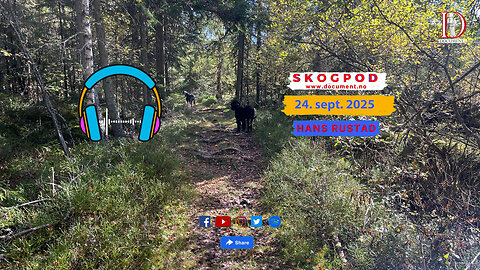 Skogpod 24. september 2025