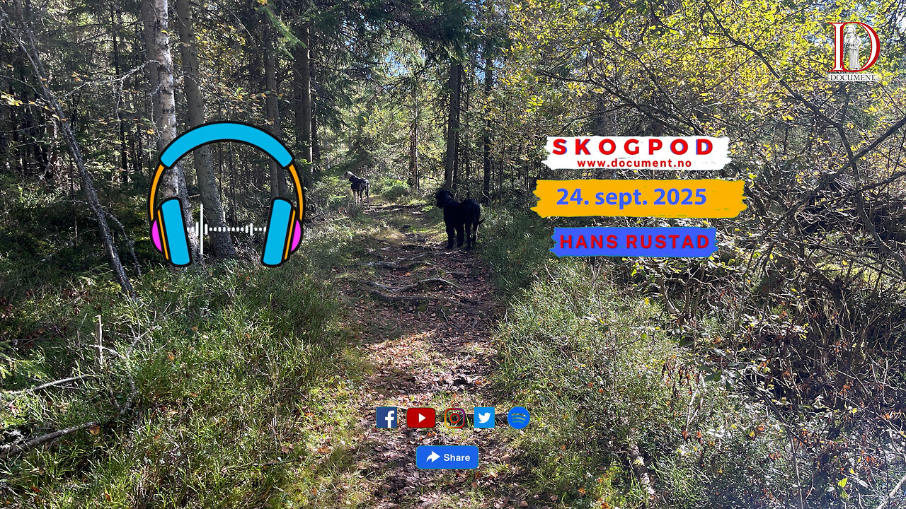 Skogpod 24. september 2025