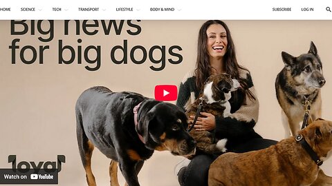1,000 dogs & counting: Milestone achieved in life-extending drug trial