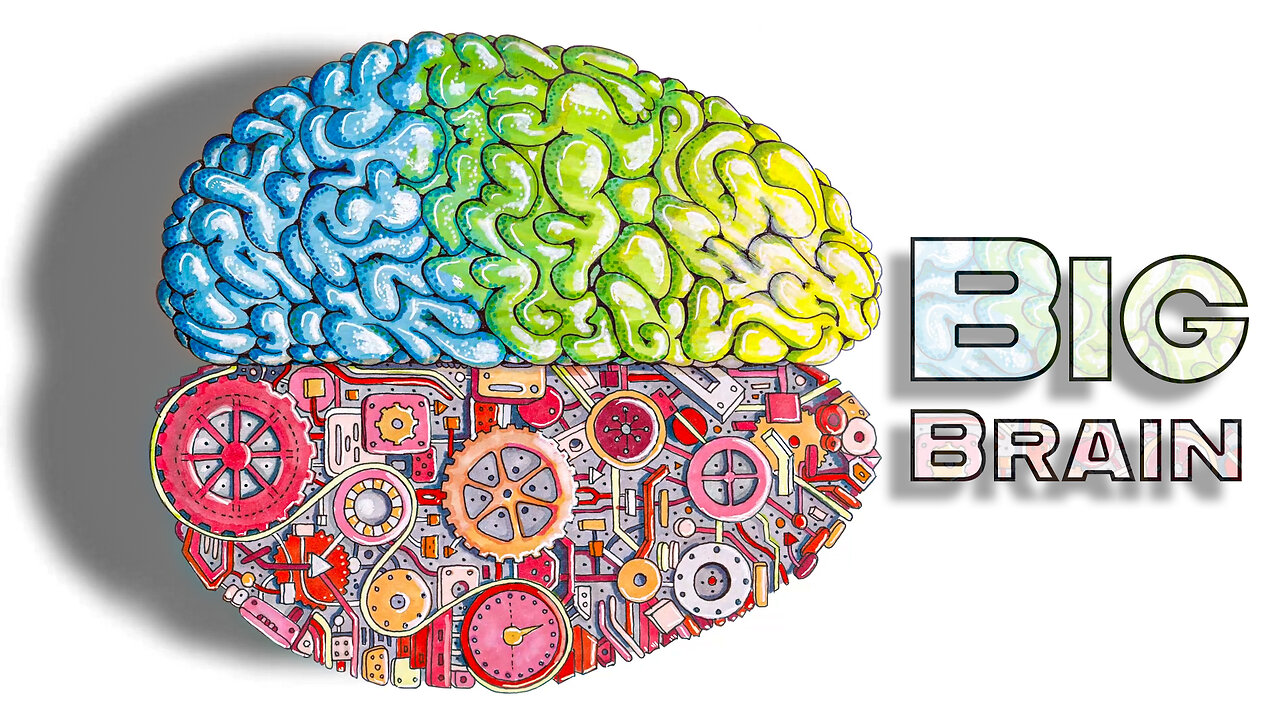 Big Brain – An EBM Sketch