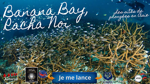 🐠 Banana Bay, Racha Noi, Le Site Idyllique Où la Plongée Devient Magie