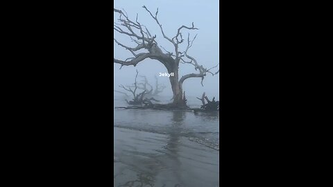 Jekyll Island Georgia Travel Guide: Best Things to Do In 2026