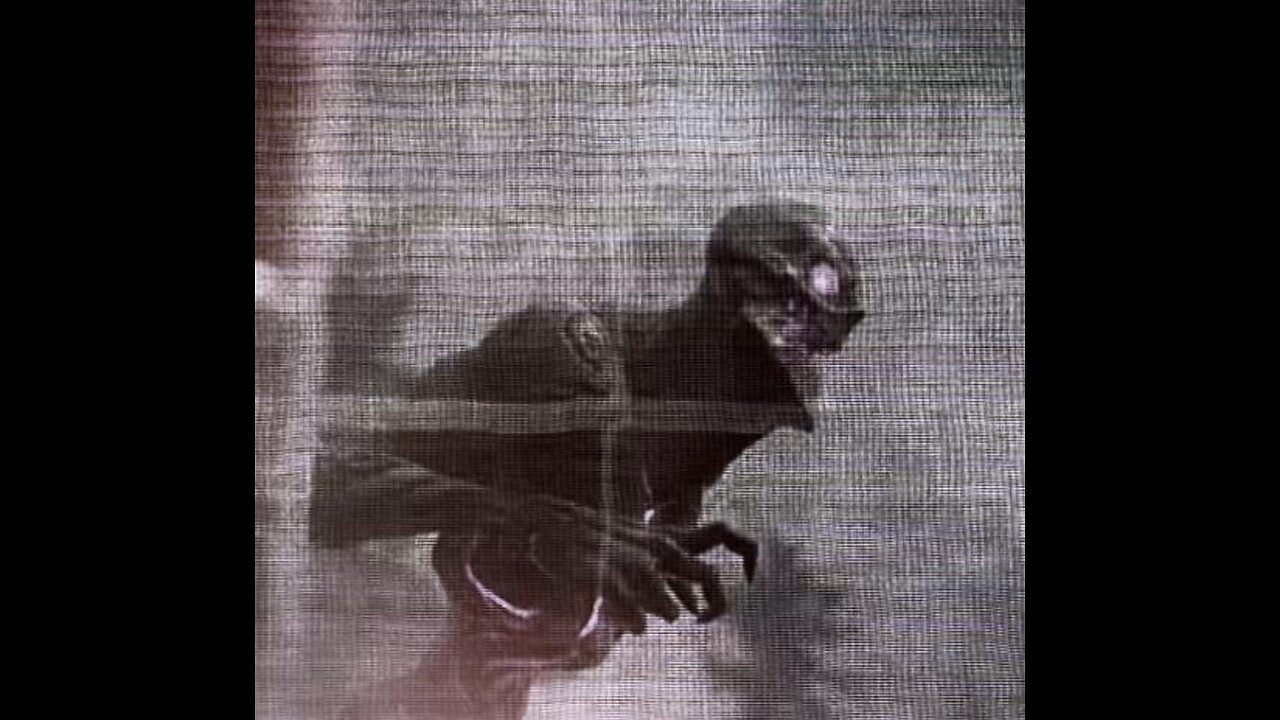 Re-edit | old clips when I was in high school