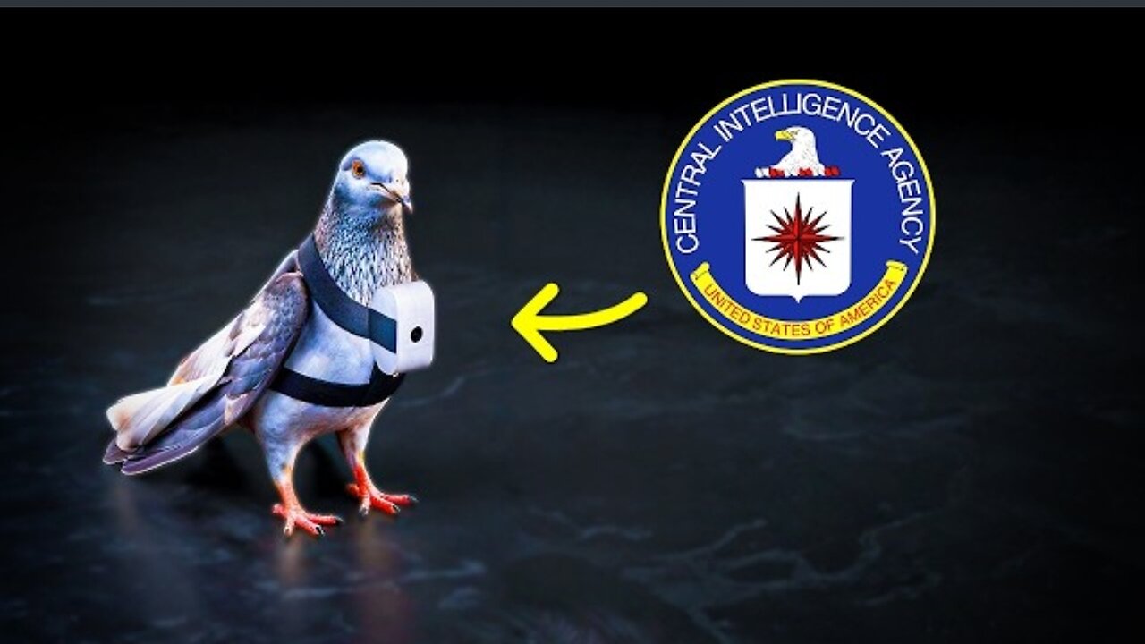 The CIA's Animal Agents