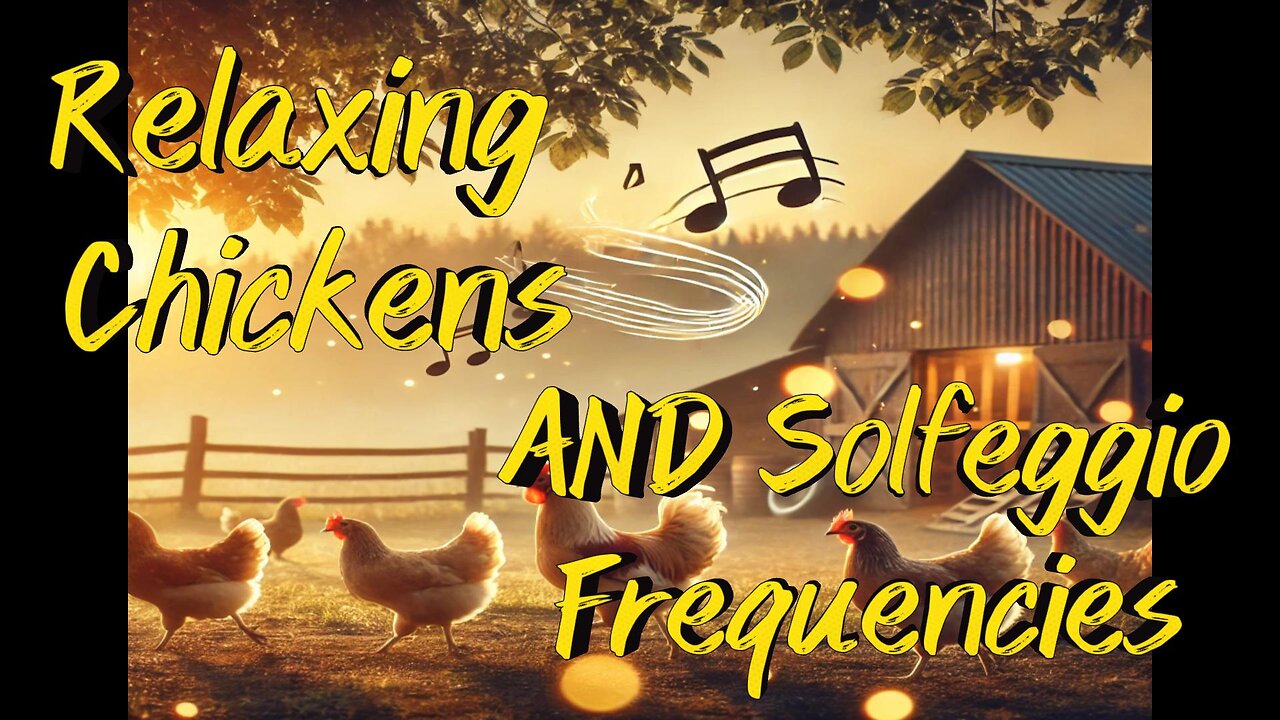 Serene Farm Moments: Chickens & Calming Melodies
