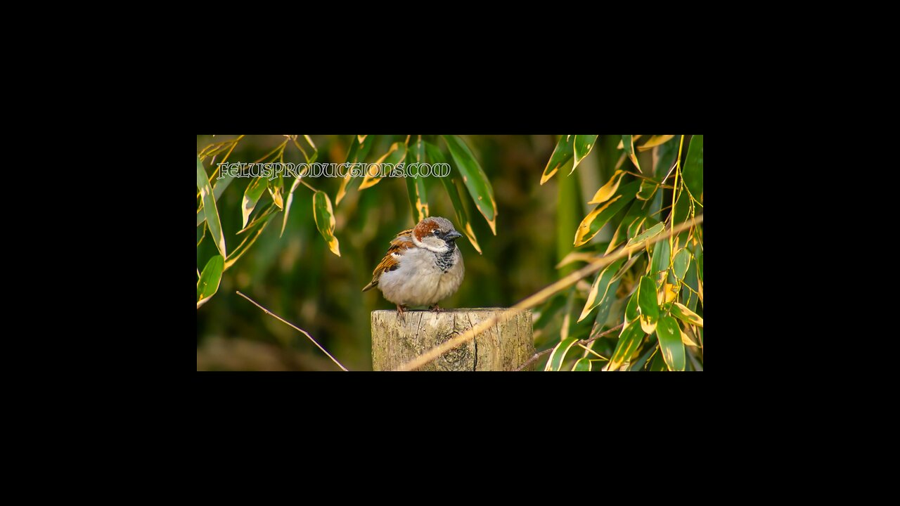 Photo Recap April 2025 Part o1