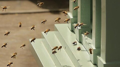 "Unmasking the Elite: Discover the Collective Swarm Power behind Global Influence"