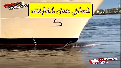 عالم تحت الماء: أسرار المحيط وأصواته الغامضة!