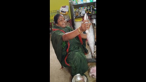 Cat fish cuttinh