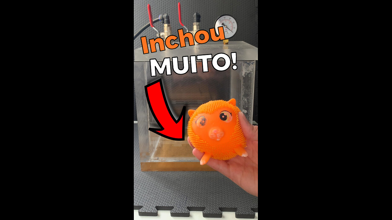 Squeeze toy in the Vacuum Chamber is really AMAZING🧸