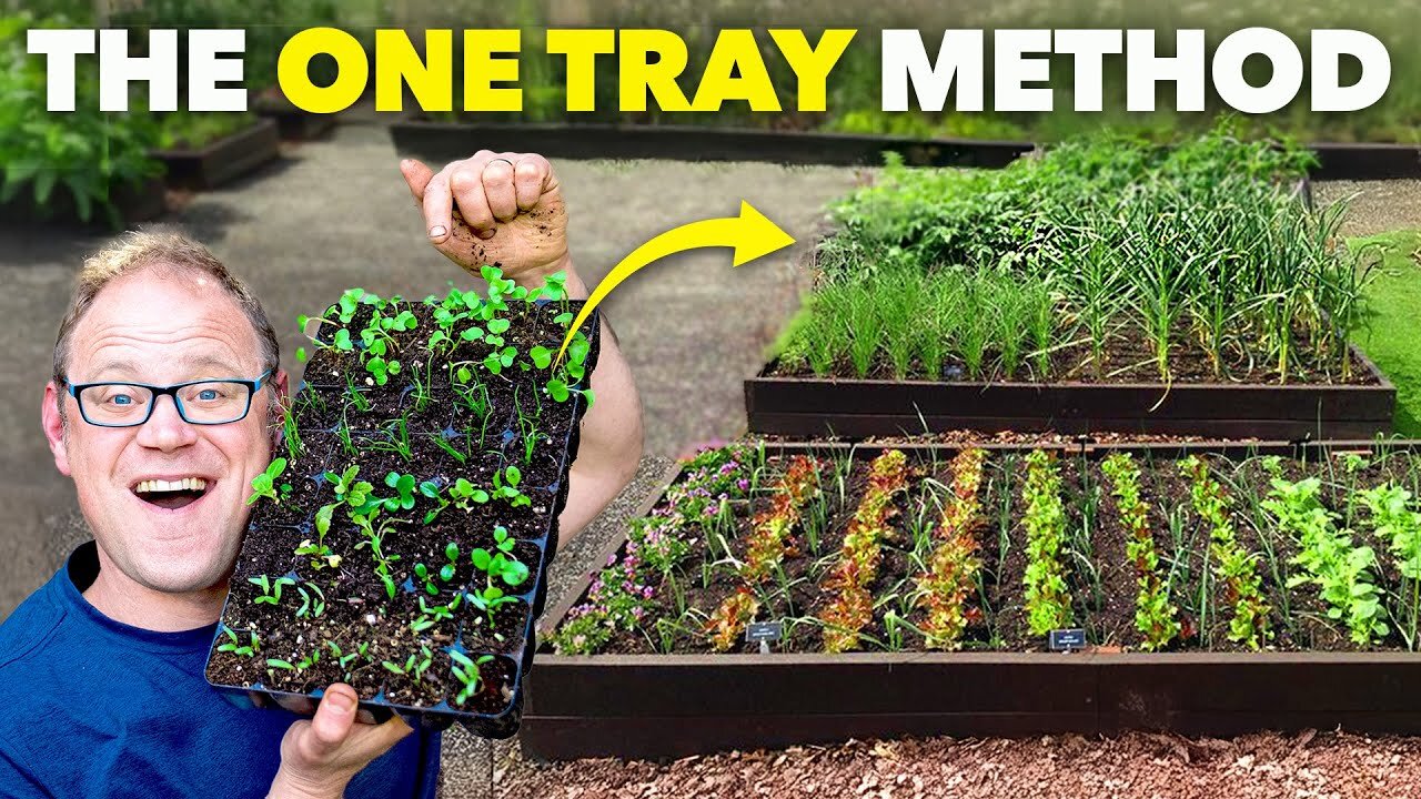 How I Grow an Entire Garden from One Tray