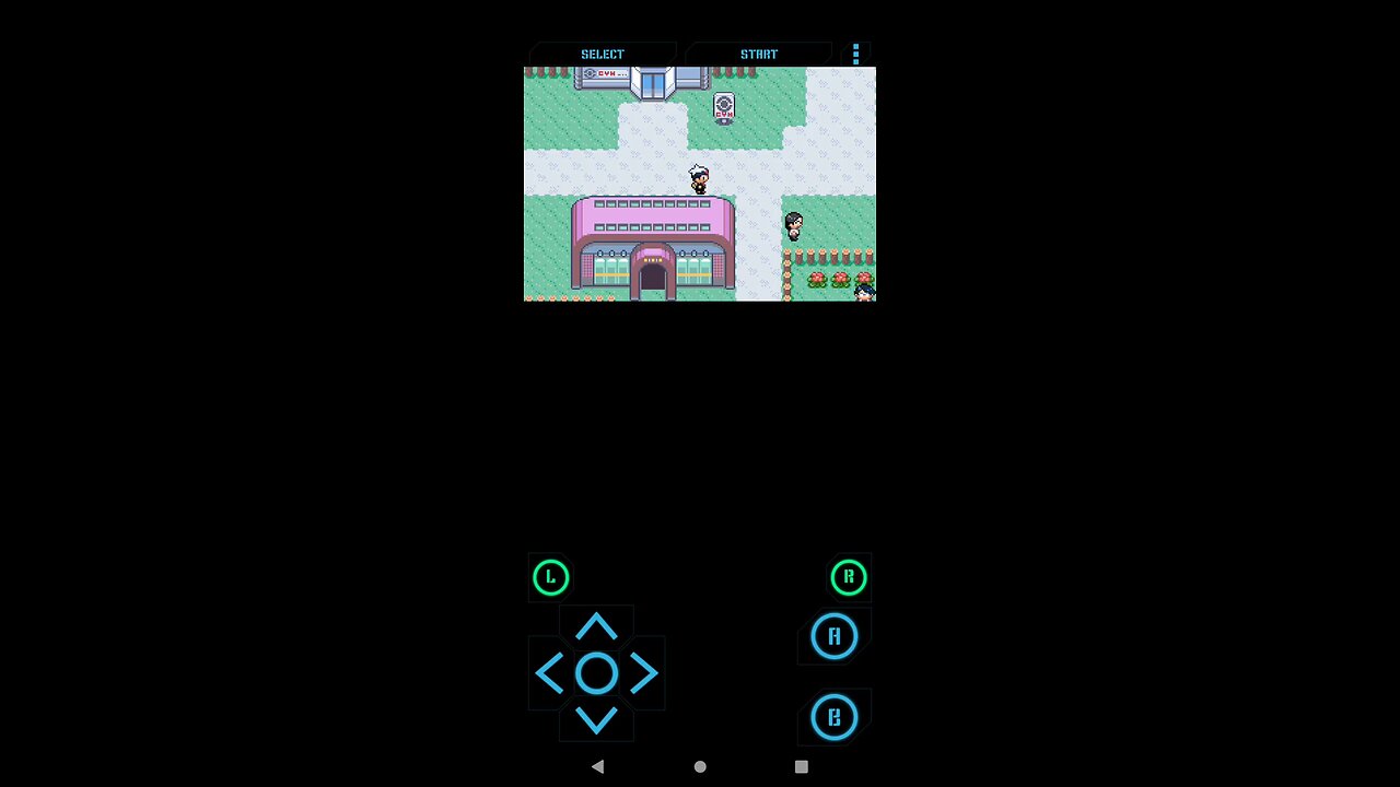 Can Wallace become Hoenn league champion