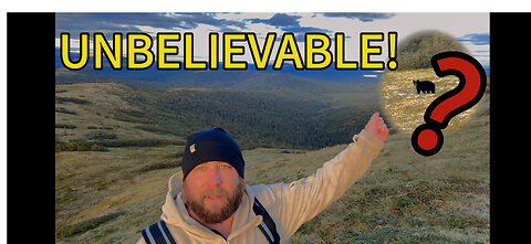 “Up Close with Alaska’s Black Bear & Muskox | Hiking & Foraging Adventure”