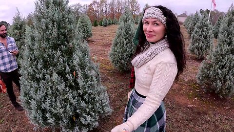 Family Night Picking out the Christmas Tree