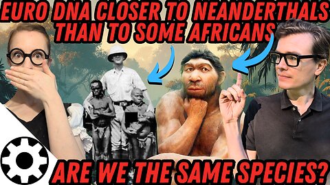 Are Humans A Single Species? (What If We Categorized Humans Like Other Animals)