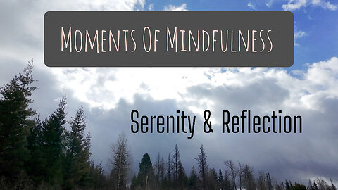 Moments Of Mindfulness