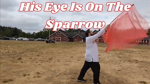 His Eye Is On The Sparrow - Victory Boyd (Worship Flags | Liturgical Dance)
