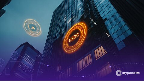 Japanese Financial Giant SBI Pours $50M into Circle Stock, Betting Big on USDC
