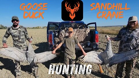 Goose Attack + Montana Sand Hill Crane Migration = Life Long Hunting Memory