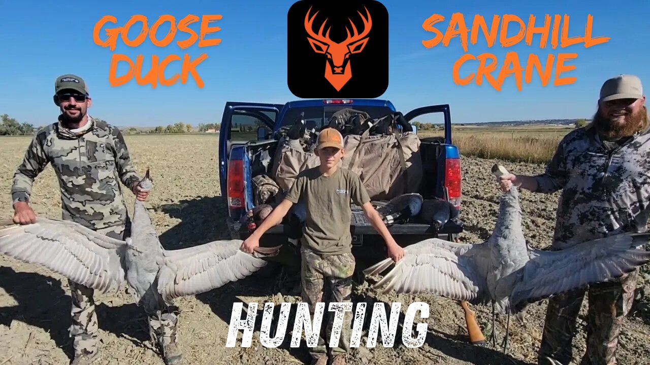 Goose Attack + Montana Sand Hill Crane Migration = Life Long Hunting Memory