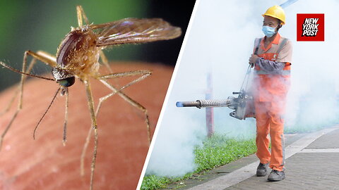 Pandemic fears sparked in China over chikungunya virus: What you need to know