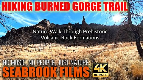 Hiking Burned Gorge Trail: Nature Walk Through Prehistoric Volcanic Rock Formations
