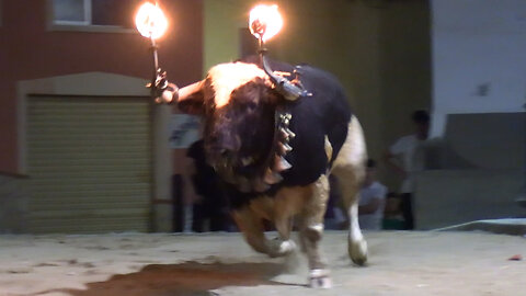 2025 08 14-16 SUERAS DEHESA DE GUADARRAMA Nº26 Y MONTEVIEJO Nº31