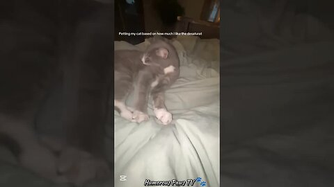 This Is Too Funny to Be Planned!