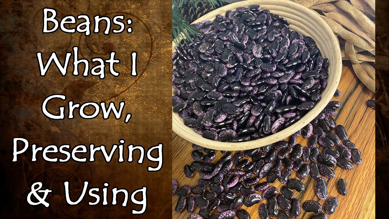 Beans, Beans, Beans