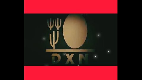 DXN: Making a Reasonable Choice