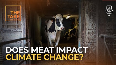 Eating our way out of climate collapse | The Take